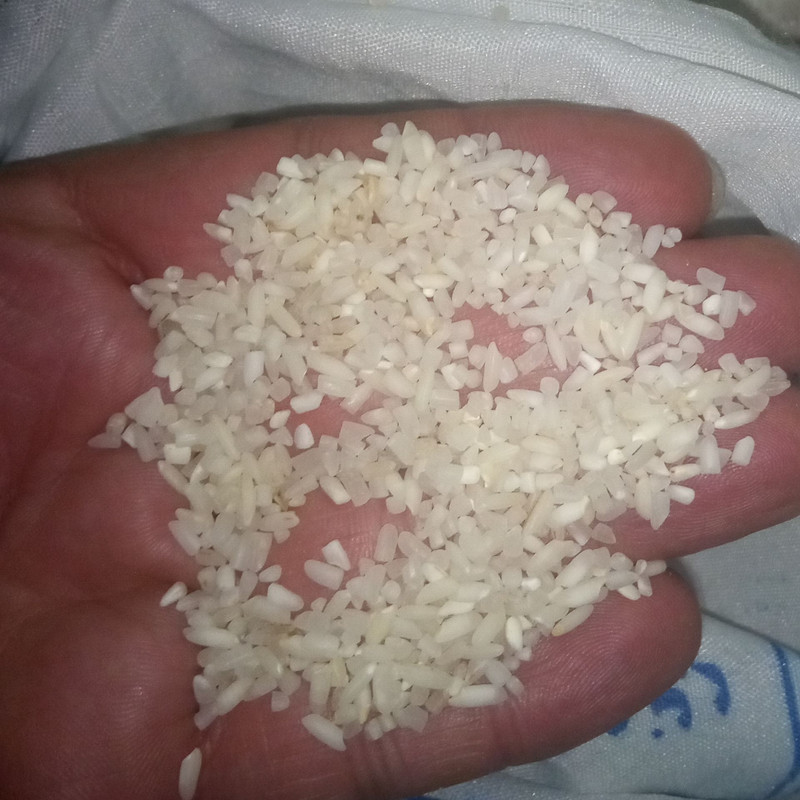 برنج لاشه عنبربو شوشتر - ۵ کیلوگرم — تصویر ۲