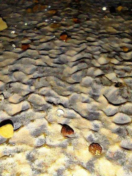 عسل طبیعی انا موم آذربایجان ، بارالی — تصویر ۶