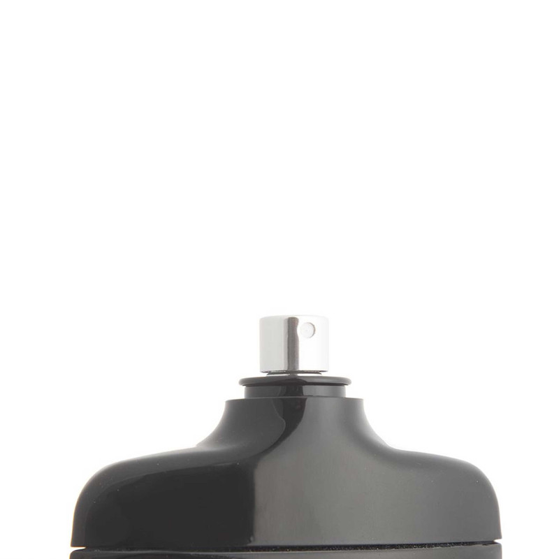 ادو پرفیوم مردانه نایس پاپت مدل Silver Scent با رایحه خنک و تند حجم 85 میلی لیتر — تصویر ۴