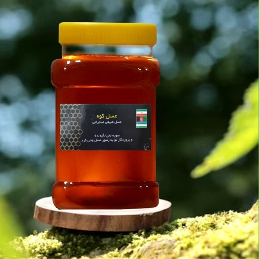 عسل طبیعی جنگلی طبیعی (مستقیم از زنبوردار)(یک کیلویی)(ارسال رایگان)
