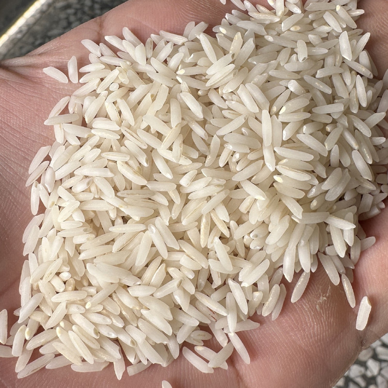 برنج طارم هاشمی کشت اول زرین خوشه طبرستان - 10 کیلوگرم — تصویر ۲