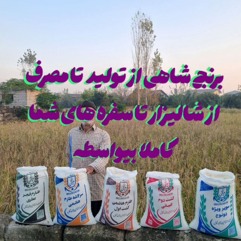 برنج ایرانی بینام اعیانی فریدونکنار شاهی - 5 کیلوگرم بسته 2 عددی — تصویر ۲