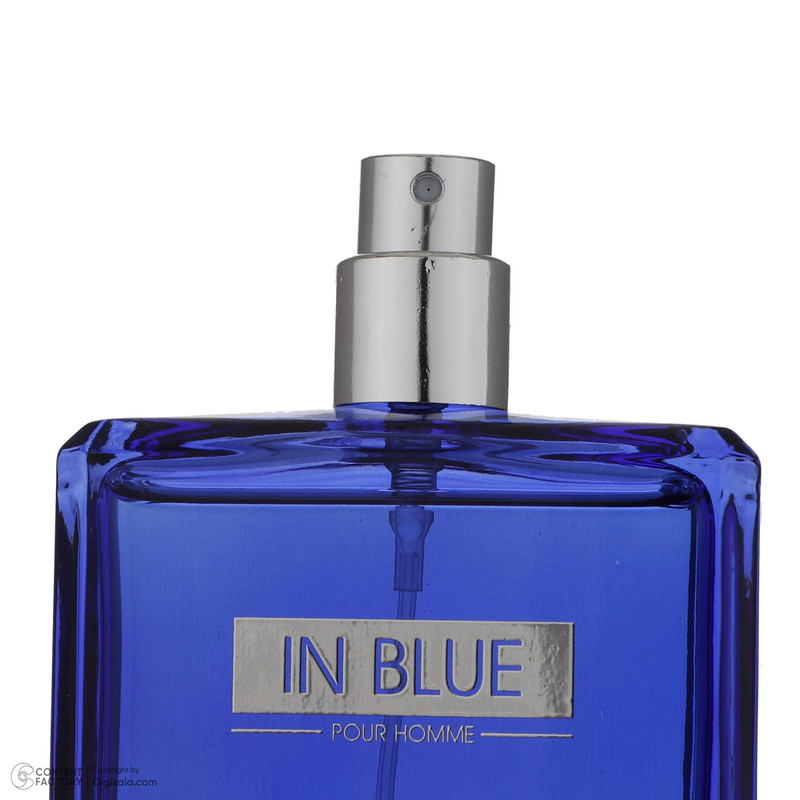 ادو پرفیوم مردانه رودیر مدل IN BLUE حجم 100 میلی لیتر — تصویر ۳