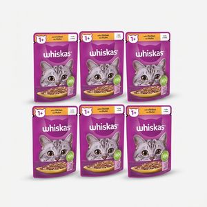 پوچ گربه ویسکاس مدل Chicken وزن 85 گرم بسته 6 عددی