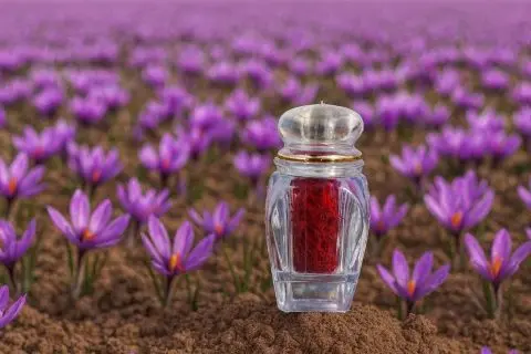 زعفران سوپر سرگل قائنات ایرانی — تصویر ۳