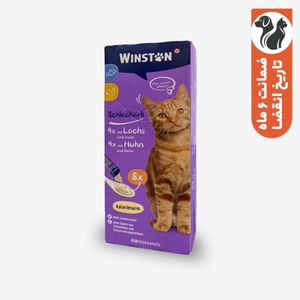 تشویقی گربه وینستون مدل بستنی مرغ و ماهی وزن 120 گرم