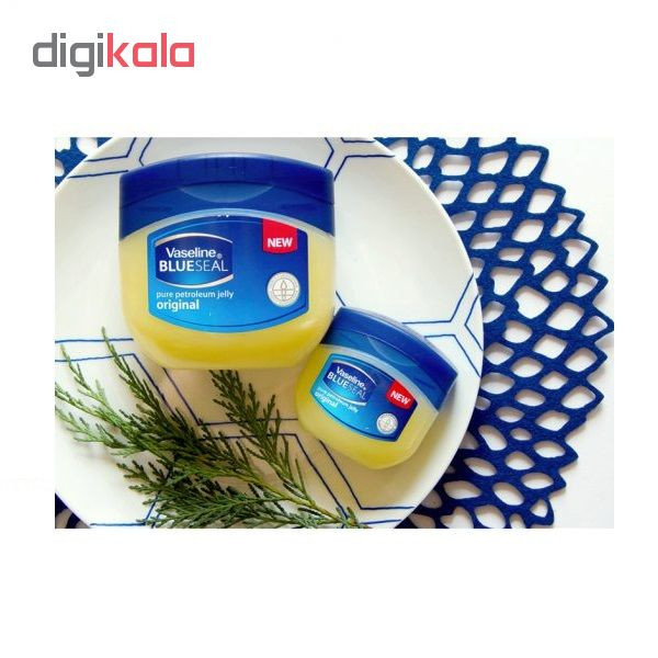 کرم وازلین مدل BlueSeal حجم 100 میلی لیتر — تصویر ۴