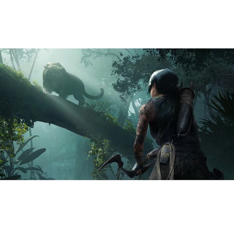 بازی Tomb Raider مخصوص PS4 — تصویر ۲