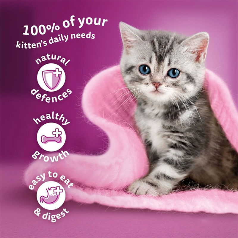 پوچ بچه گربه ویسکاس مدل Kitten in Jelly با طعم ماهی تن وزن 85 گرم — تصویر ۳