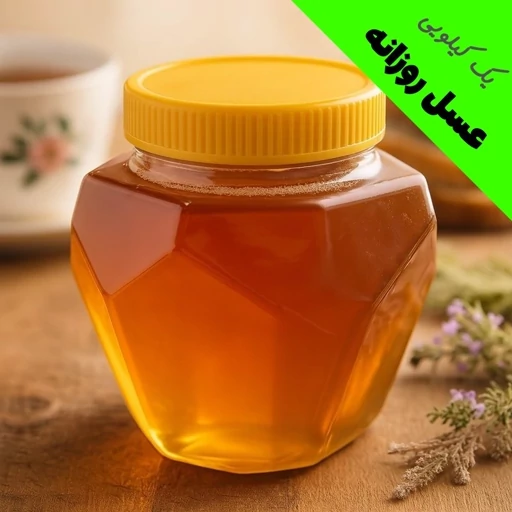 عسل روزانه چند گیاه کوهی - یک کیلویی (خرید مستقیم از زنبوردار)