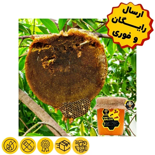 عسل طبیعی جنگلی بالچی (1 کیلوگرم)(بدون موم)(ارسال رایگان و فوری)(خرید مستقیم از زنبوردار نمونه)