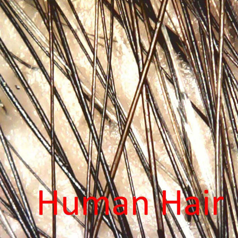 میکروسکوپ دیجیتال مدل hl-1600X — تصویر ۴