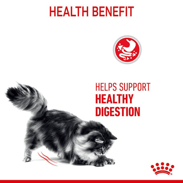غذای خشک گربه رویال کنین مدل Digestive Care مراقبت از سیستم گوارش وزن 2 کیلوگرم — تصویر ۳