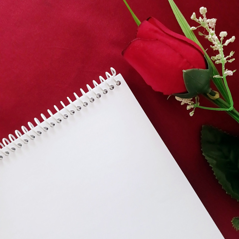 دفتر نقاشی 50 برگ سیمی مدل فیل — تصویر ۲