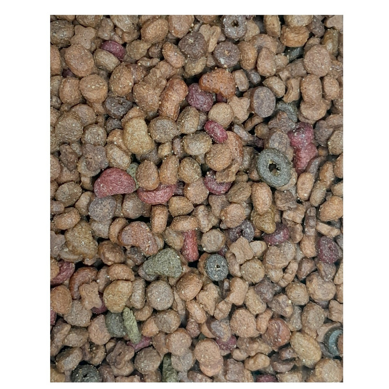 غذا خشک گربه بالغ تیستی کت مدل ادالت دیلی فله دیجیا با طعم مرغ و ماهی وزن 1000 گرم — تصویر ۲