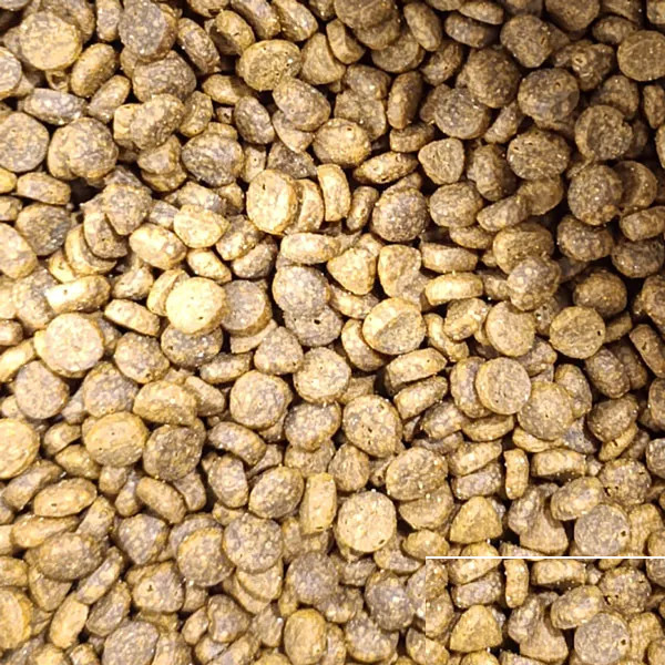 غذا خشک گربه بالغ فید وان پت مدل ادالت فله طعم مرغ و ماهی وزن 1500 گرم — تصویر ۳