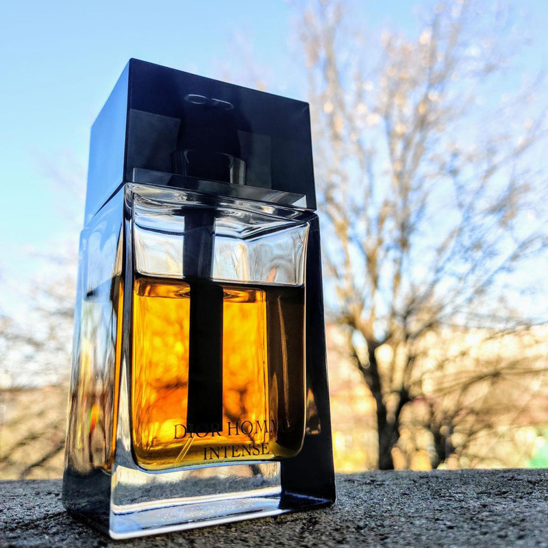 ادو پرفیوم مردانه دیور مدل Homme Intense حجم 150 میلی لیتر — تصویر ۲