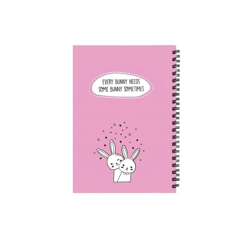 دفترچه یادداشت 100برگ پاپکو یک خط سایز B6 پاستلی طرح Funny Bunnies