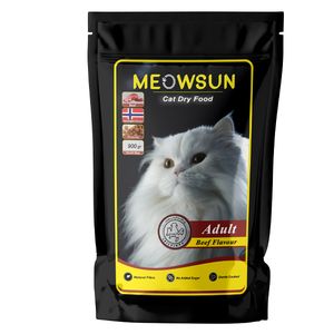 غذا خشک گربه بالغ پانیازیست مدل 01 طعم گوشت وزن 900 گرم