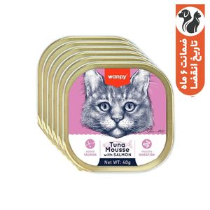 غذای کاسه‌ای گربه ونپی مدل سفارش اروپا بافت موس با طعم ماهی تن و سالمون وزن 40 گرم بسته 6 عددی
