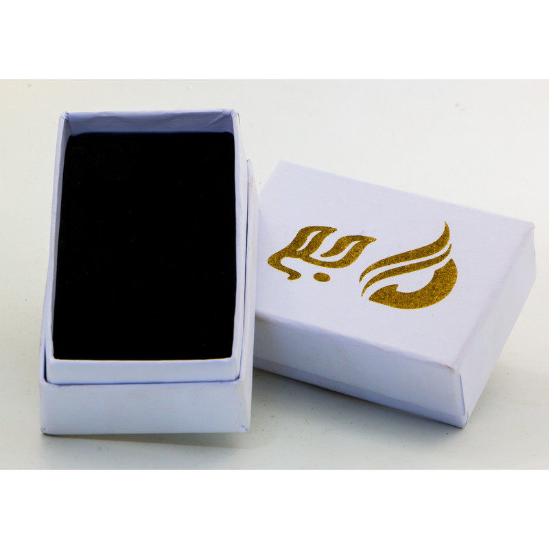 گردنبند نقره زنانه دلی جم طرح B کد D218 — تصویر ۴