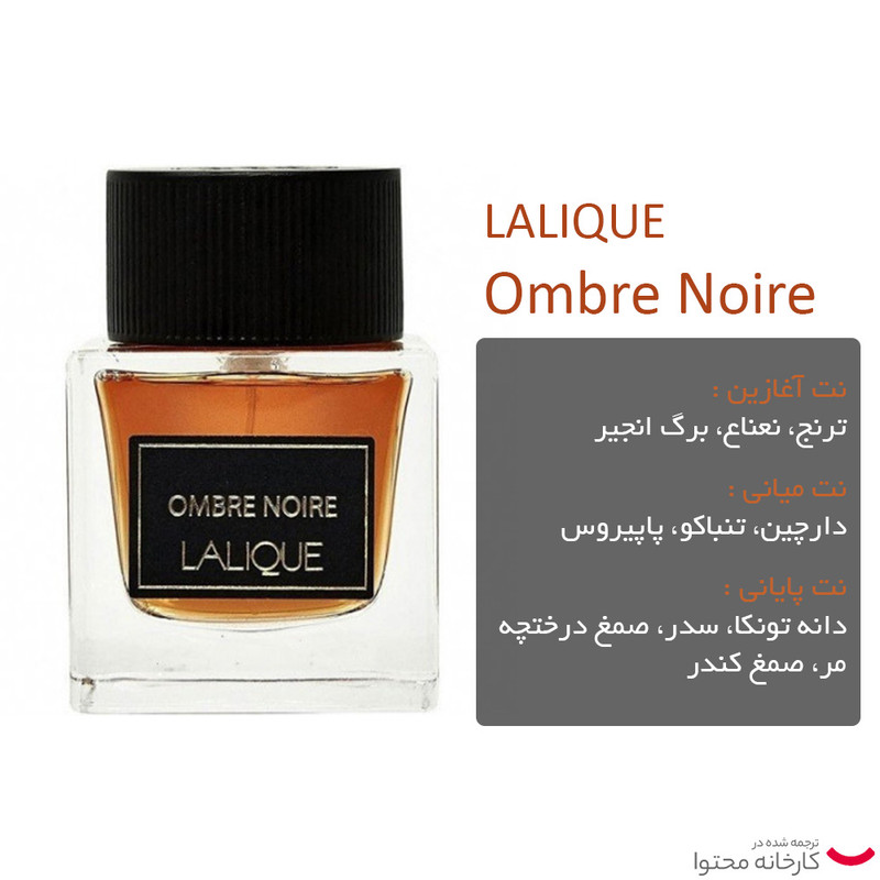 ادو پرفیوم مردانه لالیک مدل Ombre Noire حجم 100 میلی لیتر — تصویر ۳