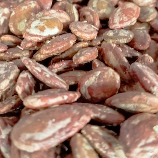 تخمه جابانی