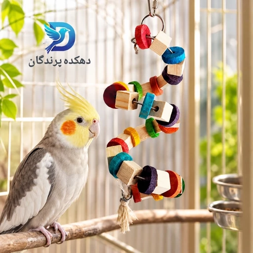 اسباب بازی پرنده مدل آویز فنری مناسب عروس هلندی،طوطی برزیلی،راهب و...