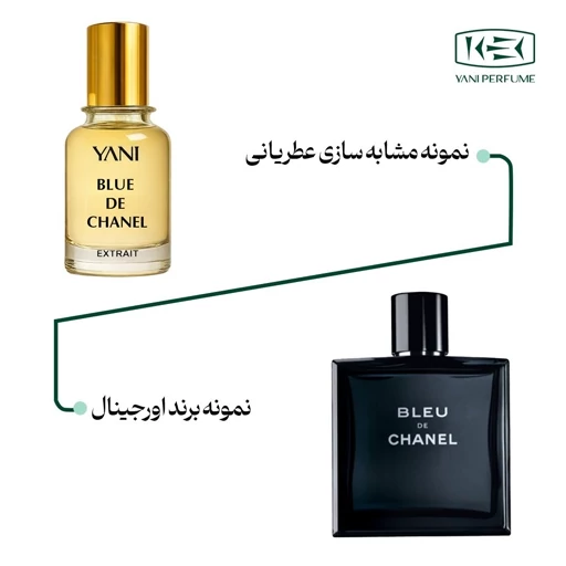 عطر بلو شنل با رایحه خنک حجم 50 میلی لیتر از برند عطریانی