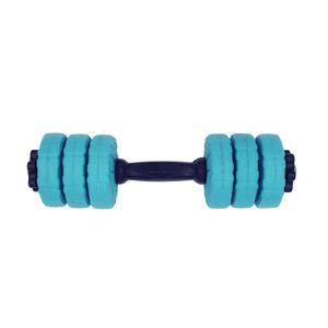 دمبل گرد قابل تنظیم وزن 3 کیلوگرم رادیس فیت مدل DVP 3-0500 one handle