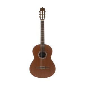 گیتار کلاسیک پارسی مدل M6