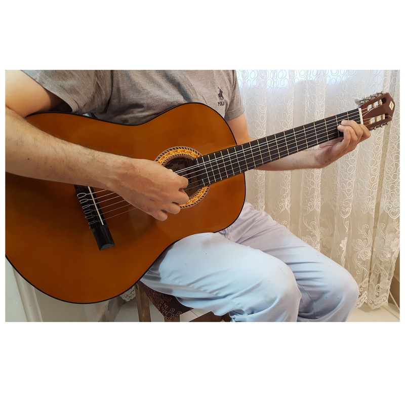 گیتار آرین مدل AK 30 — تصویر ۲