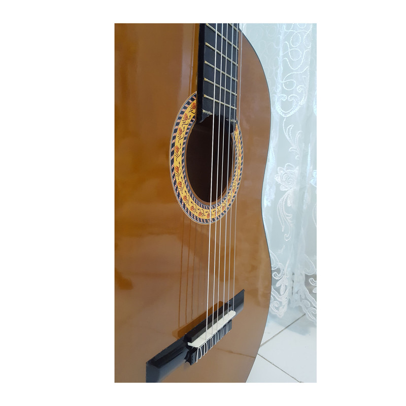 گیتار آرین مدل AK 30 — تصویر ۴