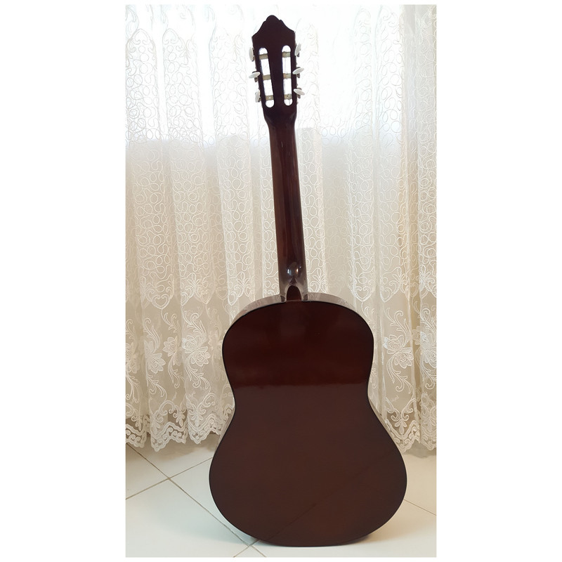 گیتار آرین مدل AK 30 — تصویر ۵