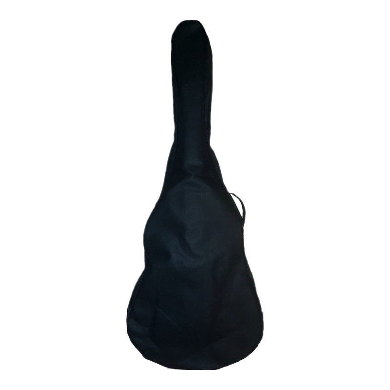 گیتار پارسیان مدل G1 — تصویر ۳