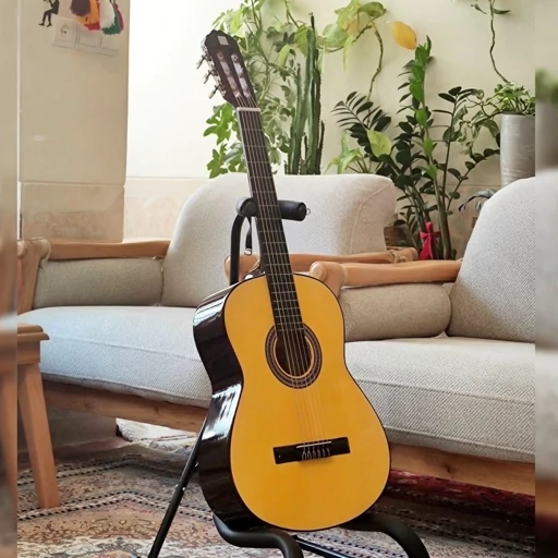 گیتار دیاموند همراه با کیف ضدضربه و ضدآب و پیک(مضراب) و با ارسال فوری