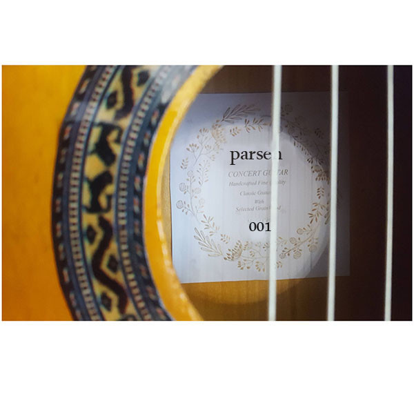 گیتار پارسه مدل 001 — تصویر ۲