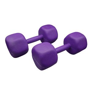دمبل مدل GS-M-197504 وزن 5 کیلوگرم بسته دو عددی