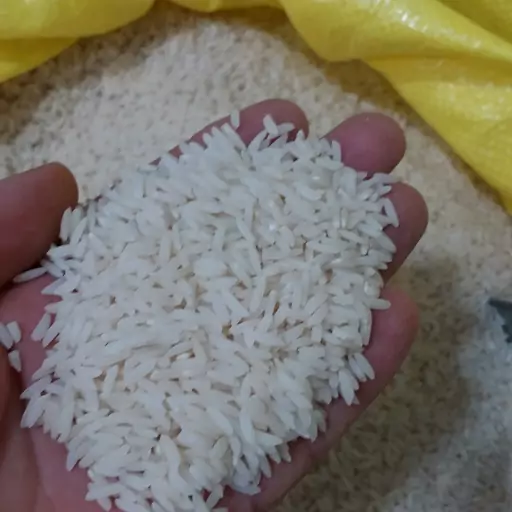 برنج طارم محلی فریدونکنار(5)کیلویی
