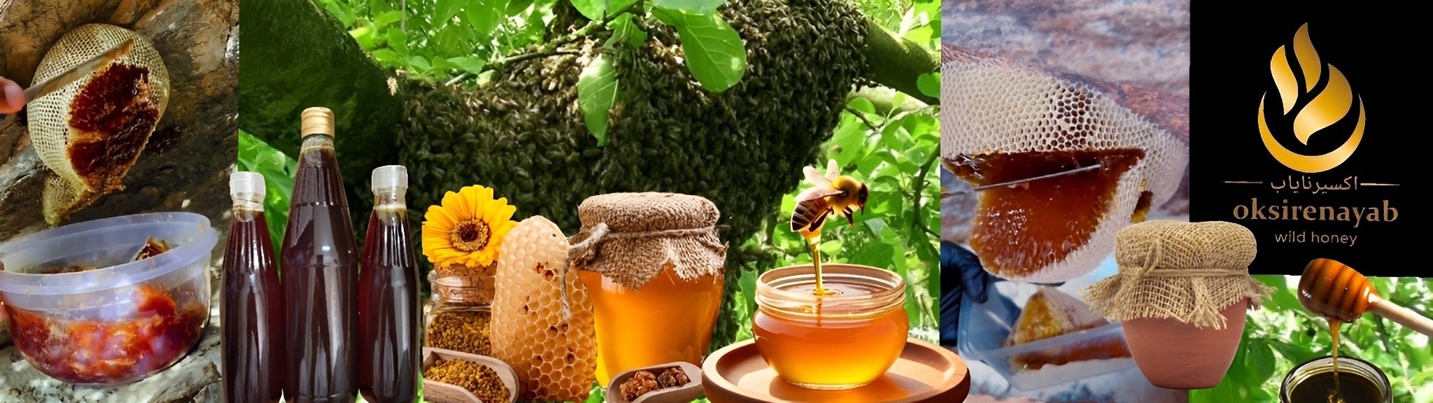 عسل طبیعی عمده صد کیلو — تصویر ۲