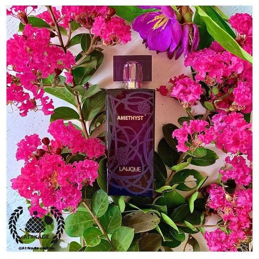 فروش ادکلن بدون جعبه لالیک آمیتیس-بنفش زنانه 100 میل | Lalique Amethyst — تصویر ۲