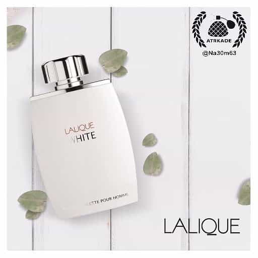 فروش ادکلن بدون جعبه لالیک سفید (لالیک وایت) | Lalique White