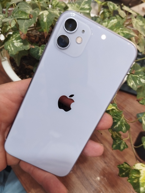 آیفون 11 با حافظه 128 بنفش یاسی استوک apple iphone 11 128GB Purple - فوریوفون