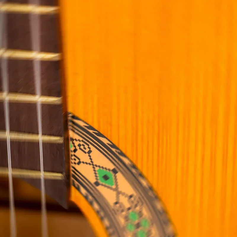 گیتار کلاسیک Parsi M7 — تصویر ۸