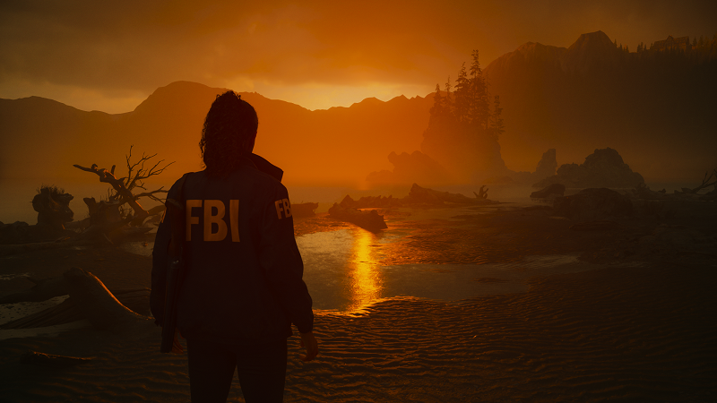 خرید بازی اکانت ظرفیت alan wake 2 برای ps5 | خرید بازی اکانت ظرفیت آلن ویک برای ps5 — تصویر ۴