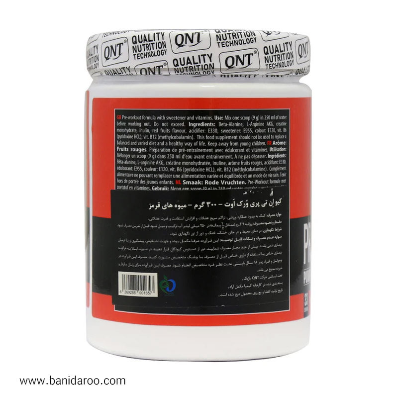 پودرپمپ پری ورک اوت کیو ان تی ار ایکس 300 گرم — تصویر ۳