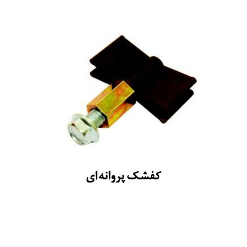 کفشک پروانه ای درب آسانسور یاران — تصویر ۲