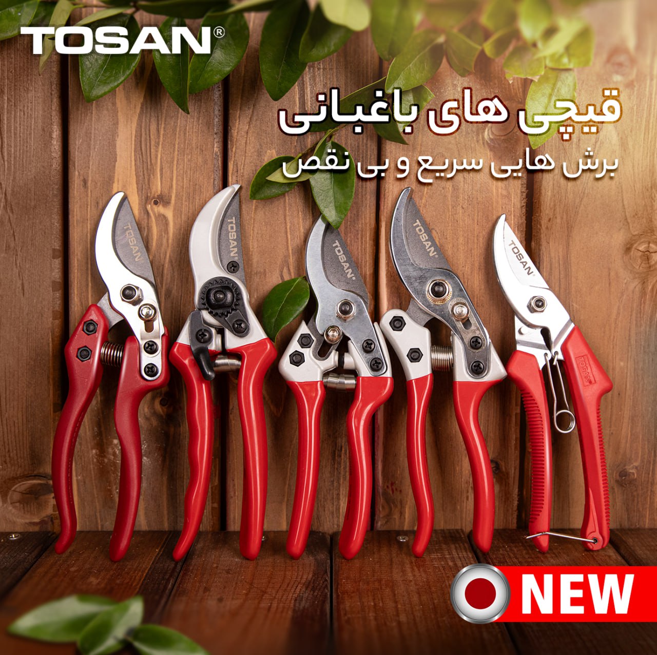 قیچی میوه سرکج بلند — تصویر ۳