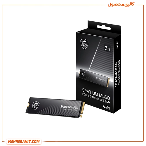 اس اس دی ام اس آی MSI Spatium M560 2TB — تصویر ۳
