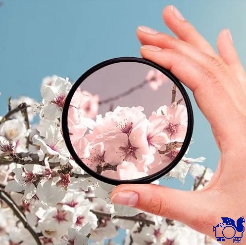Ray Dawn Filter lens 30.5MM — تصویر ۴